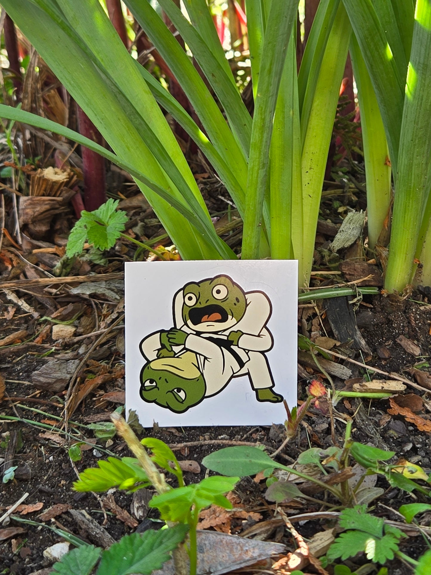 Triangle Croak - BJJ Triangle Choke Toad Sticker 🐸🥋